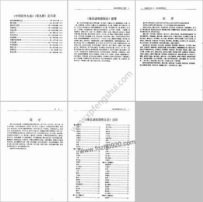 中国医学大成_九医论分册