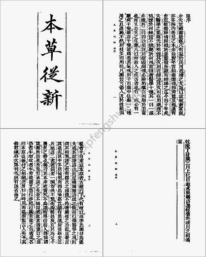 中国医学大成续集-本草从新