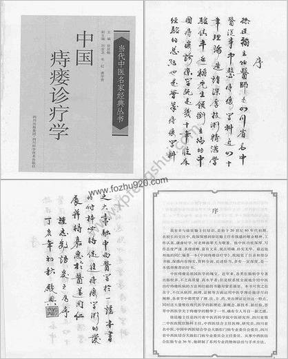 中国痔瘘诊疗学