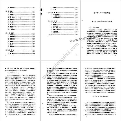 中国耳穴诊治学_王正