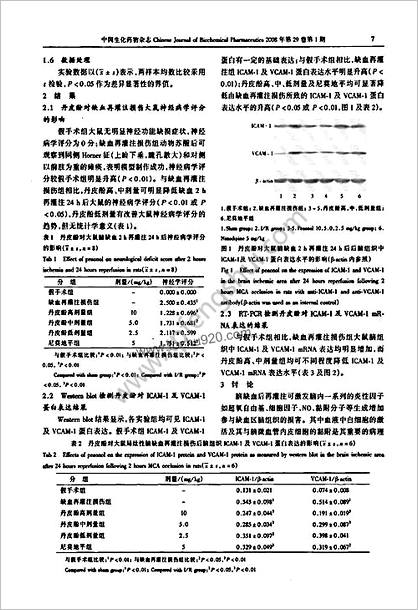 丹皮酚抑制大鼠局灶性脑缺血再灌注损伤脑组织细胞间黏附分子-1和血管细胞黏附分子-1的表达-