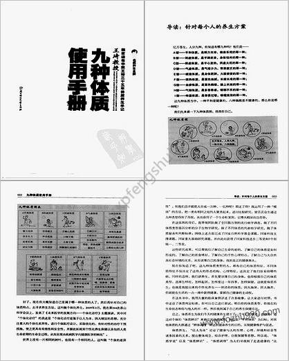 九种体质使用手册