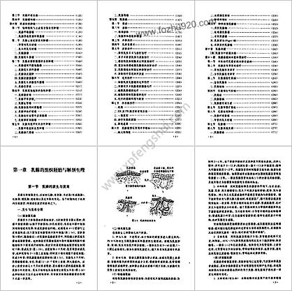 乳腺疾病的诊断与治疗