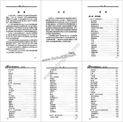 二十世纪中医药最佳处方-小验方卷