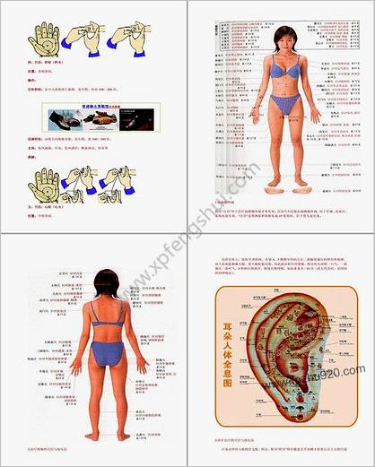 人体常用穴位按摩保健方法_动画图解