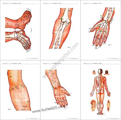 人体经络高清晰图册_经络养生系列丛书
