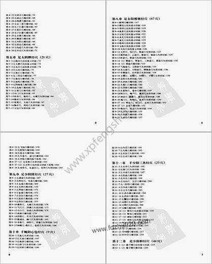 人体腧穴全真解剖图谱pdf