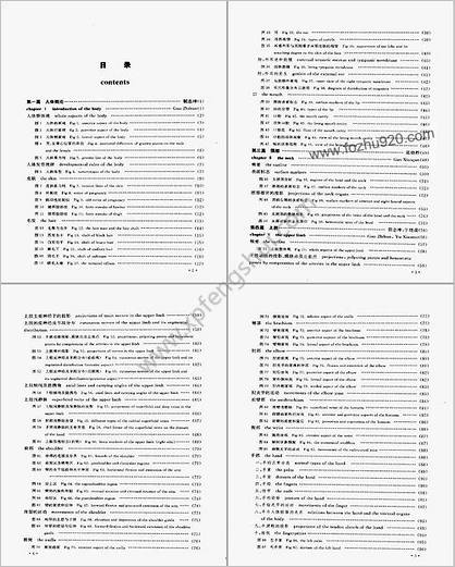 人体表面解剖学及图谱