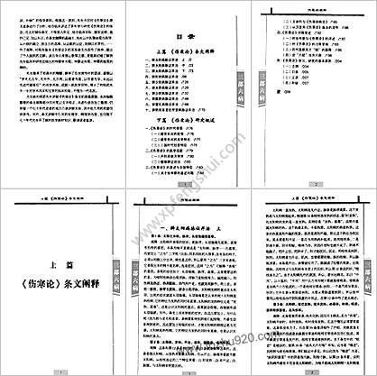 伤寒论阐释