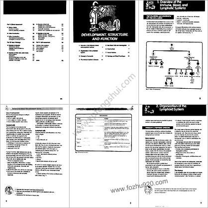 免疫-血液及淋巴系统_风暴式医学教程