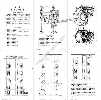 刘寿山正骨经验_修订扫描版