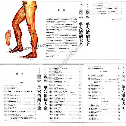 名医评析单穴治病大全_解秸萍