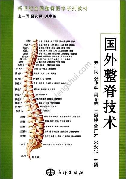 国外整脊技术