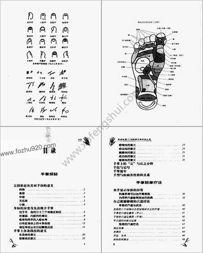 图解手脚诊病大全_张福会