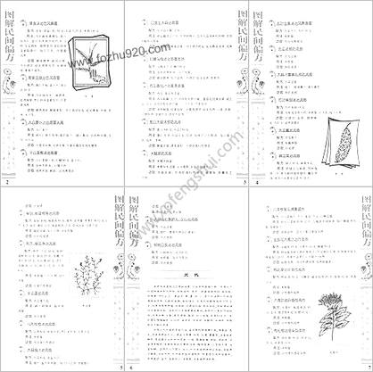 图解民间偏方_雷子