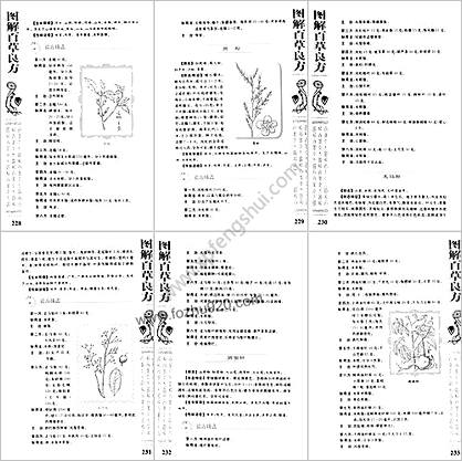 图解百草良方-2