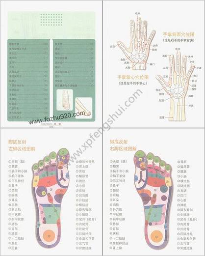 图解足部对症按摩