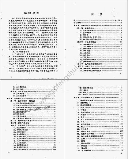 头针与芒针疗法_邵万方