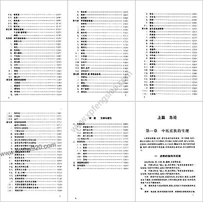 实用中医皮肤病学