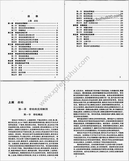 实用临床脊柱病学_董纪翠