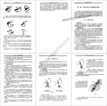 实用全科医师手术图谱_314页全
