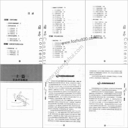 实用图示艾灸疗法_周荣.刘硕.齐强