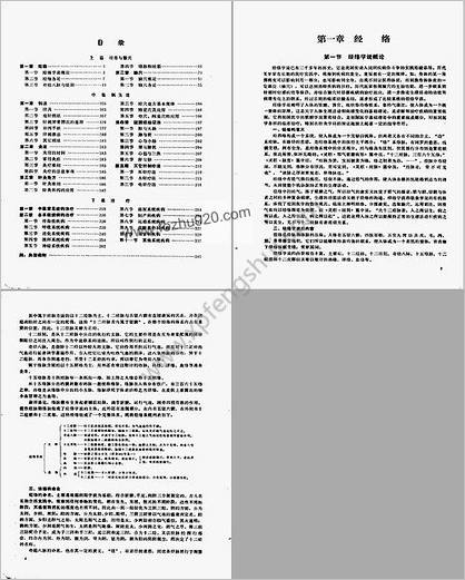 实用针灸学_石学敏