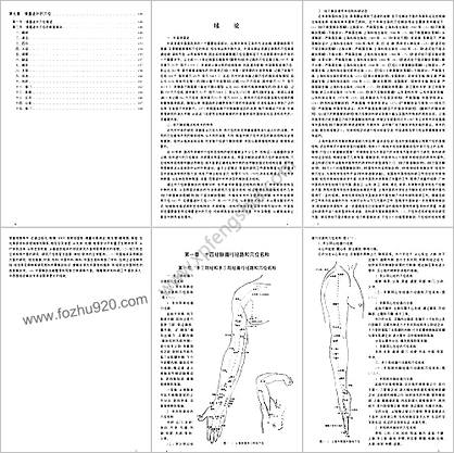 常用穴位解剖基础_针灸必读5270502