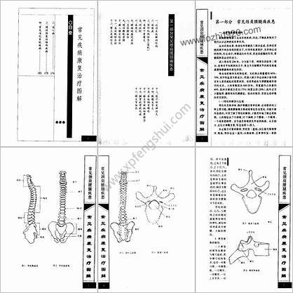 常见疾病康复治疗图解