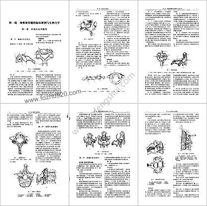 当代颈椎外科学