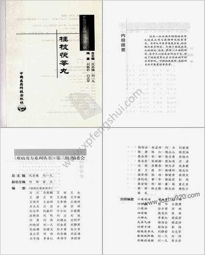 桂枝茯苓丸_难病奇方系列丛书