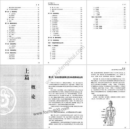 步入中医之门3_分部经络辨证理论与实践_毛以林