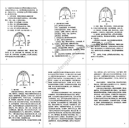 王鹏飞儿科临床经验选_佚名