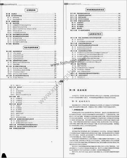 现代血液病诊断治疗学