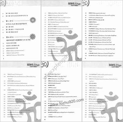 瑜伽练习_从初学到精进_李晓钟