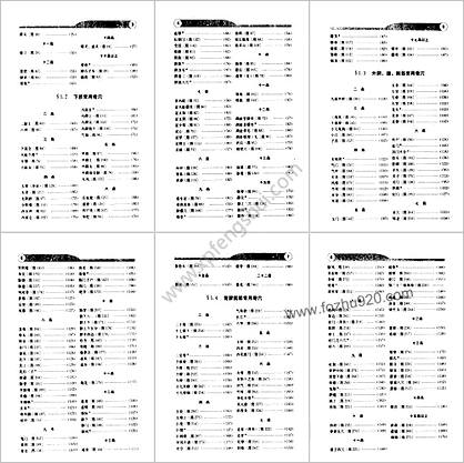 百病中医奇穴疗法-林霖郑选胡兴立