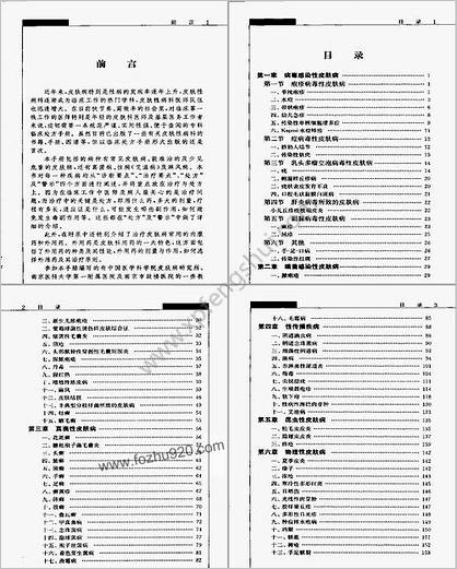 皮肤性病临床处方手册