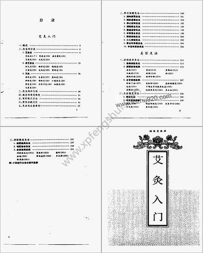 神奇艾灸术家庭艾灸保健_张京英