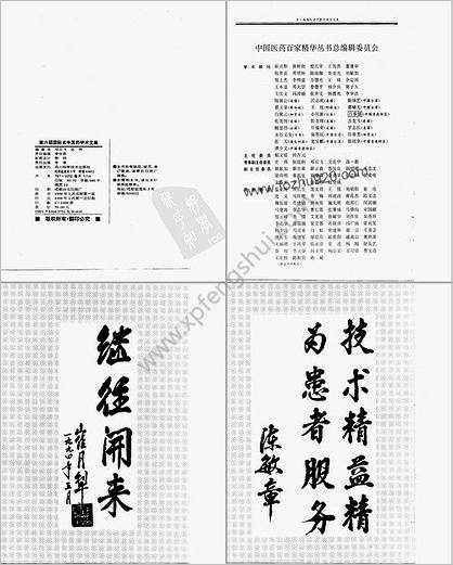 第六届国际名中医药学术文集