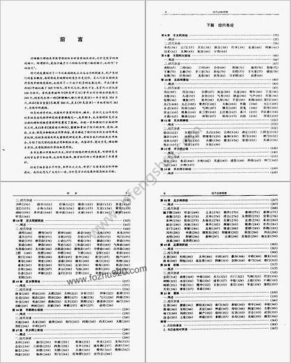 经穴治病明理_王富春