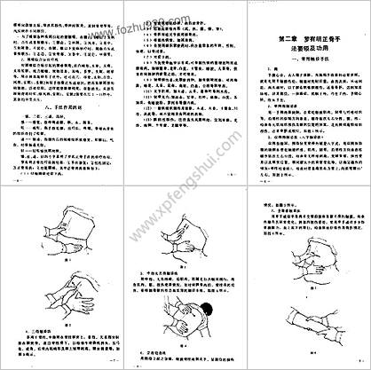 罗有明正骨法_罗金殿