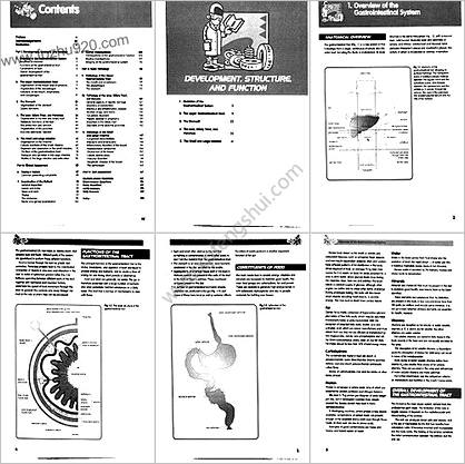 胃肠系统_风暴式医学教程