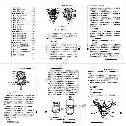 脊柱疾病的现代诊断与治疗_扫描版