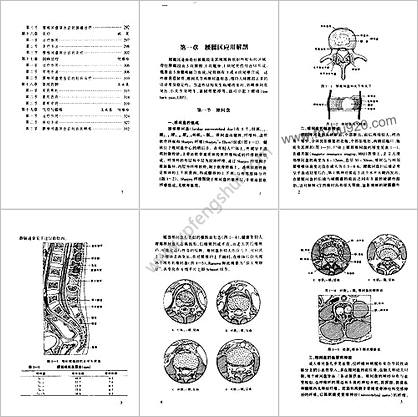 腰椎间盘突出症的非手术治疗_岳寿伟