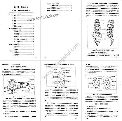 腰椎间盘脱出症最新诊断和治疗方法