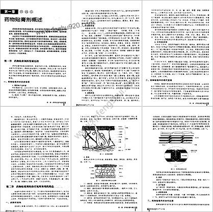 药物贴膏剂生产与开发-熊维政等主编