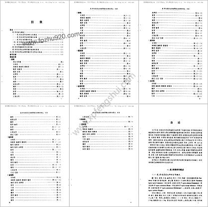 虎-豹及其类似动物骨骼比较解剖图志_陈代贤主编