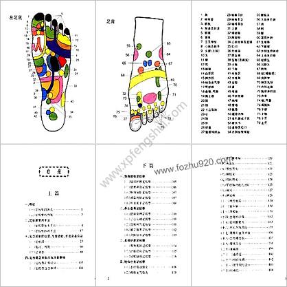 袖珍足按摩彩色图谱