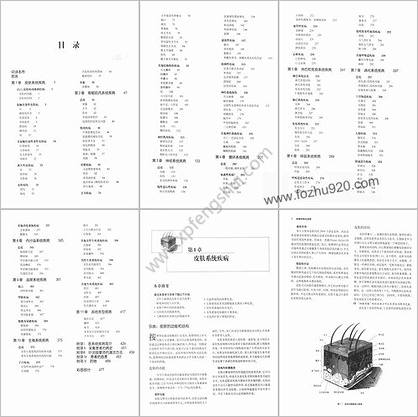 西方现代临床按摩系列-按摩师临床指南_第3版.高清