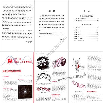 西方现代临床按摩系列-骨科疾病的矫形按摩.高清